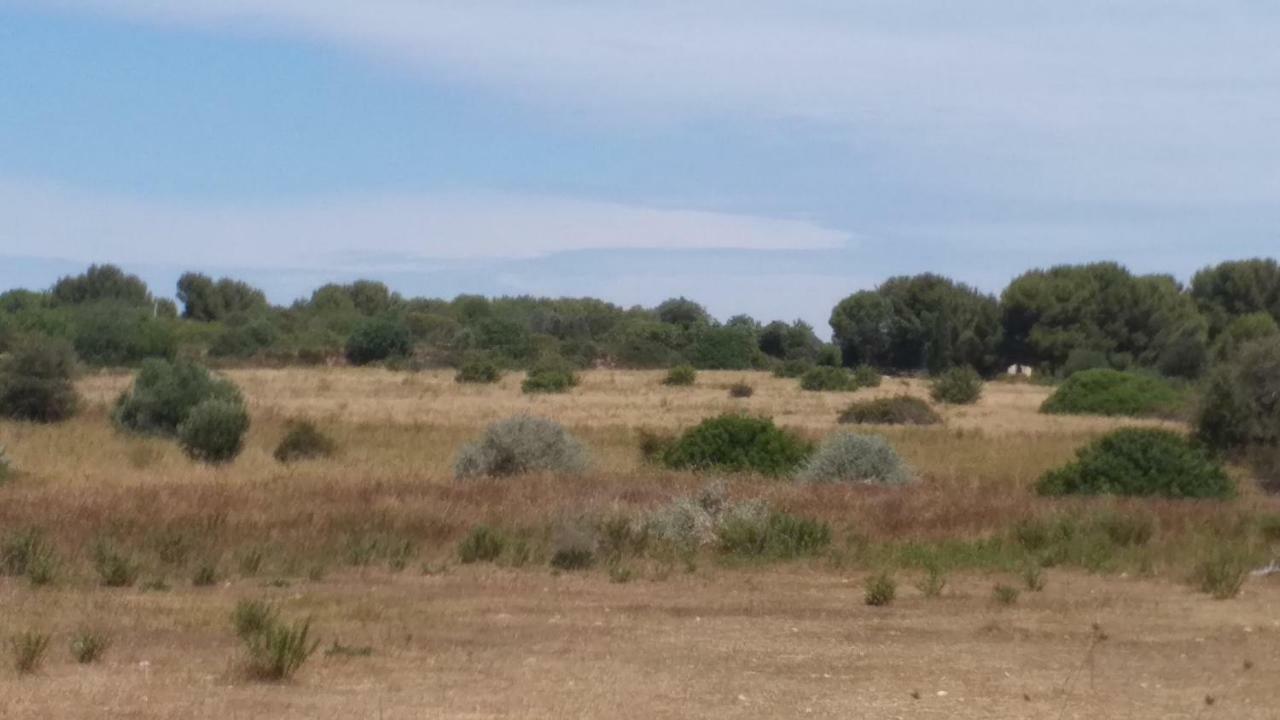 Hébergement de vacances Cabanès Des Aresquiers Maison De